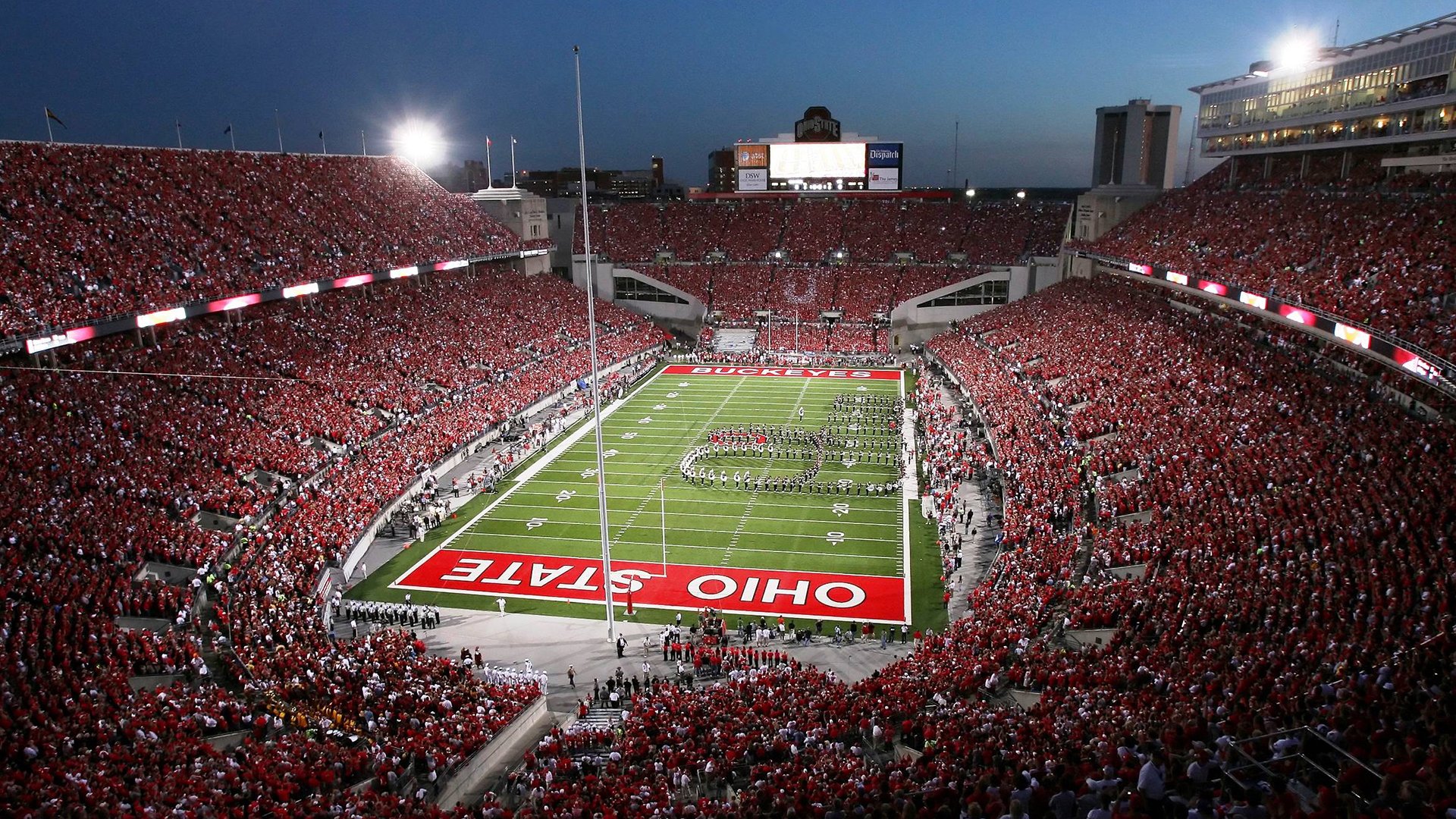 鱼鹰球迷聚集球场助威，为球队加油助力获胜，鱼鹰啥意思